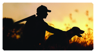 DSC700 311 Gone Hunting (Dog)